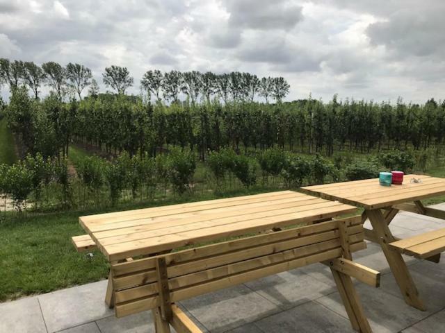 Hoeve Oude Tol Zuidzande Екстериор снимка