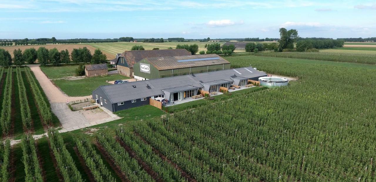 Hoeve Oude Tol Zuidzande Екстериор снимка